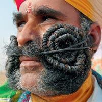 Журнал «Вокруг Света» №09 за 2010 год - TAG_img_cmn_2010_11_21_029_jpg905571