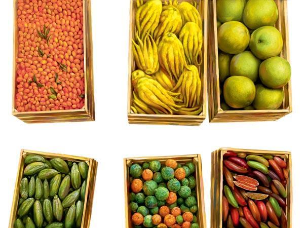 Журнал «Вокруг Света» №09 за 2010 год - TAG_img_cmn_2010_08_24_002_jpg244123