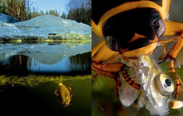 Журнал «Вокруг Света» №09 за 2010 год - TAG_img_cmn_2010_11_21_039_jpg111105