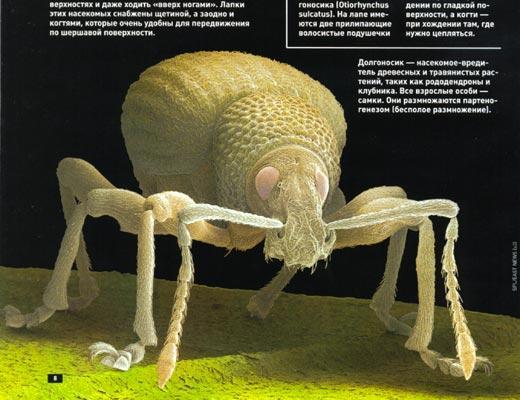 Журнал «Вокруг Света» №10 за 2003 год - TAG_img_cmn_2006_08_15_020_jpg89740