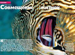 Журнал «Вокруг Света» № 10 за 2004 год (2769) - any2fbimgloader0.jpeg