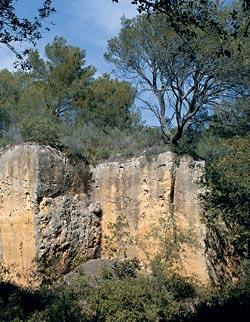Журнал «Вокруг Света» №10 за 2006 год - TAG_img_cmn_2007_03_02_078_jpg656745