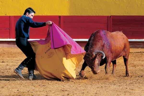 Журнал «Вокруг Света» №10 за 2008 год - TAG_img_cmn_2008_09_26_014_jpg723661
