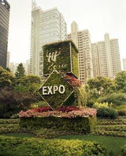 Журнал «Вокруг Света» №10 за 2010 год - TAGhttp___www_vokrugsveta_ru_img_cmn_2010_12_08_025_jpg908056