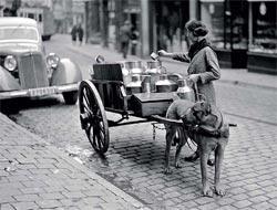 Журнал «Вокруг Света» №10 за 2010 год - TAGhttp___www_vokrugsveta_ru_img_cmn_2010_12_19_003_jpg946066