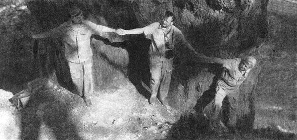 Журнал «Вокруг Света» №11 за 1960 год - TAG_img_cmn_2009_04_01_005_jpg543659