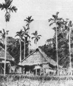 Журнал «Вокруг Света» №11 за 1960 год - TAG_img_cmn_2009_04_01_017_jpg90689