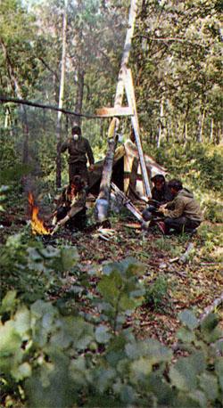 Журнал «Вокруг Света» №11 за 1976 год - tag_img_cmn_2007_09_03_031_jpg862138.jpeg