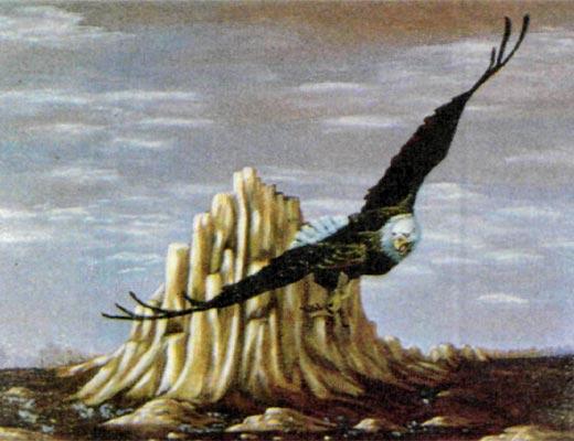 Журнал «Вокруг Света» №11 за 1987 год - TAG_img_cmn_2008_03_05_028_jpg462941