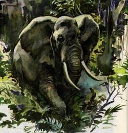 Журнал «Вокруг Света» №11 за 1987 год - TAG_img_cmn_2010_06_30_021_jpg1415