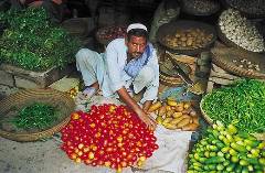 Журнал «Вокруг Света» № 11 за 2003 год - any2fbimgloader15.jpeg