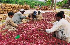 Журнал «Вокруг Света» № 11 за 2003 год - any2fbimgloader18.jpeg