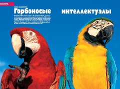 Журнал «Вокруг Света» № 11 за 2004 год - any2fbimgloader8.jpeg