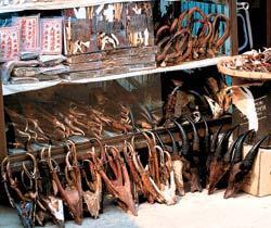 Журнал «Вокруг Света» №11 за 2005 год - TAG_img_cmn_2006_11_06_018_jpg678700