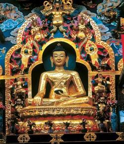 Журнал «Вокруг Света» №11 за 2005 год - TAG_img_cmn_2006_11_06_020_jpg399226