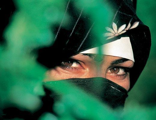 Журнал «Вокруг Света» №11 за 2005 год - TAG_img_cmn_2006_11_06_043_jpg986022