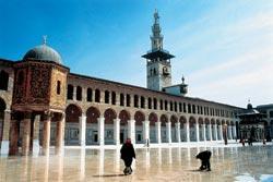 Журнал «Вокруг Света» №11 за 2005 год - TAG_img_cmn_2006_11_06_052_jpg38455