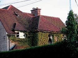 Журнал «Вокруг Света» №11 за 2006 год - TAG_img_cmn_2007_03_03_054_jpg32923