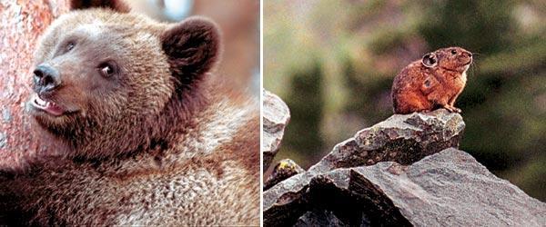 Журнал «Вокруг Света» №11 за 2006 год - TAG_img_cmn_2007_03_04_014_jpg347726