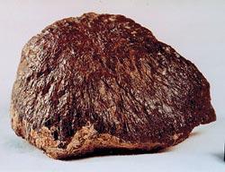 Журнал «Вокруг Света» №11 за 2007 год - TAG_img_cmn_2007_11_07_018_jpg222451