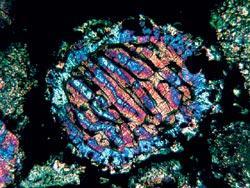 Журнал «Вокруг Света» №11 за 2007 год - TAG_img_cmn_2007_11_07_023_jpg395388