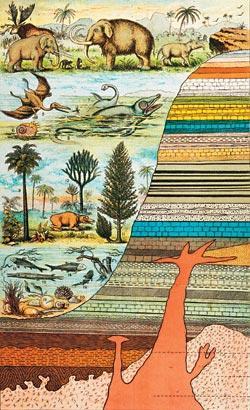 Журнал «Вокруг Света» №11 за 2007 год - TAG_img_cmn_2007_11_19_029_jpg359839