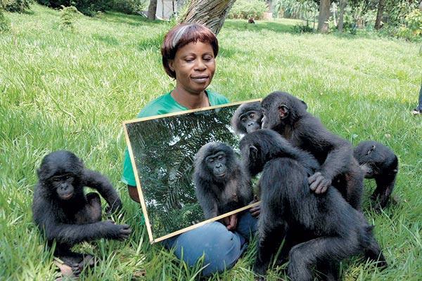 Журнал «Вокруг Света» №11 за 2007 год - TAG_img_cmn_2007_11_20_013_jpg393278