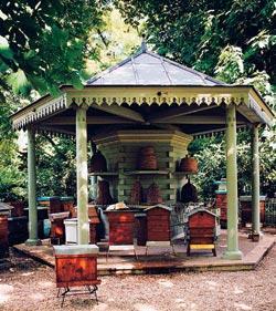 Журнал «Вокруг Света» №11 за 2007 год - TAG_img_cmn_2007_11_22_024_jpg483693