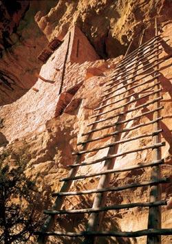 Журнал «Вокруг Света» №11 за 2007 год - TAG_img_cmn_2007_11_23_037_jpg256440