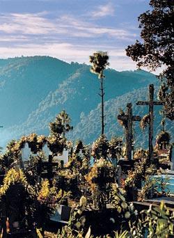 Журнал «Вокруг Света» №11 за 2008 год - TAG_img_cmn_2008_12_10_002_jpg105220