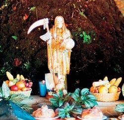 Журнал «Вокруг Света» №11 за 2008 год - TAG_img_cmn_2008_12_10_008_jpg894236