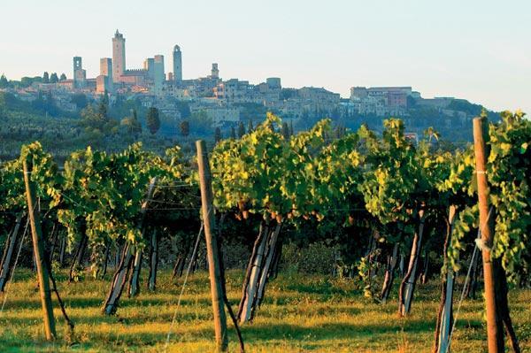 Журнал «Вокруг Света» №11 за 2009 год - TAG_img_cmn_2009_12_17_023_jpg531200