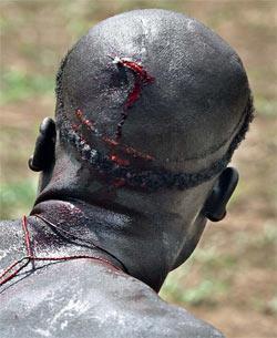 Журнал «Вокруг Света» №11 за 2010 год - TAG_img_cmn_2011_01_26_010_jpg803506