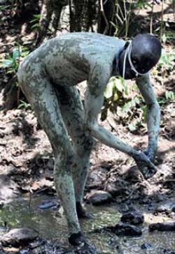 Журнал «Вокруг Света» №11 за 2010 год - TAG_img_cmn_2011_01_26_012_jpg847478