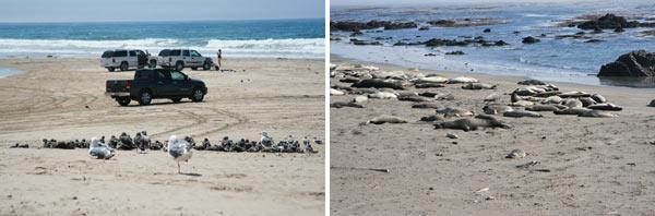 Журнал «Вокруг Света» №11 за 2010 год - TAG_img_cmn_2011_01_27_016_jpg664074