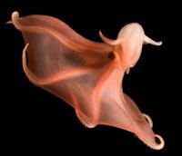 Журнал «Вокруг Света» №11 за 2010 год - TAG_img_cmn_2011_01_27_017_jpg125439