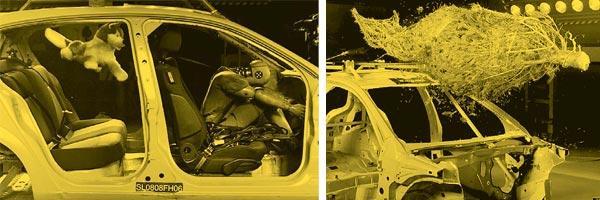 Журнал «Вокруг Света» №11 за 2010 год - TAG_img_cmn_2011_01_28_022_jpg817432