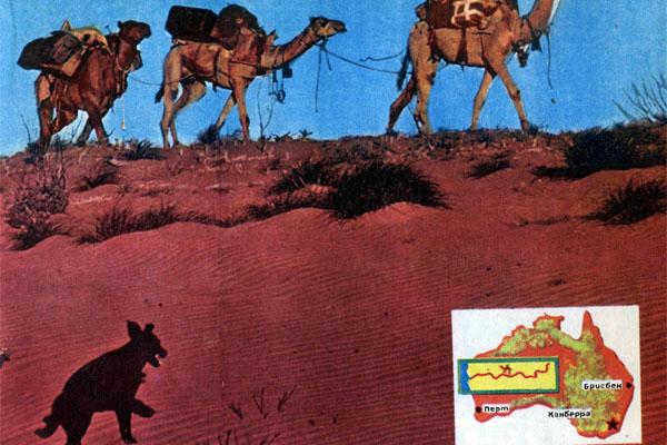 Журнал «Вокруг Света» №12 за 1978 год - TAG_img_cmn_2007_10_24_030_jpg517339