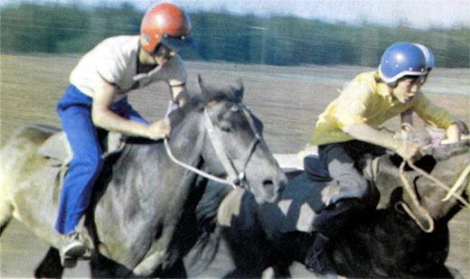 Журнал «Вокруг Света» №12 за 1987 год - TAG_img_cmn_2007_04_24_017_jpg980386