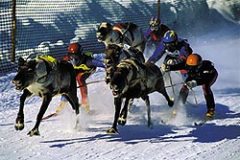 Журнал «Вокруг Света» № 12 за 2003 год - any2fbimgloader43.jpeg