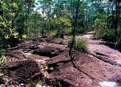 Журнал «Вокруг Света» №12 за 2005 год - TAG_img_cmn_2006_11_28_040_jpg986990