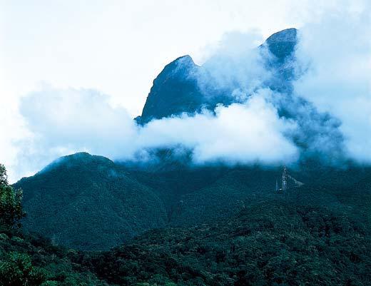 Журнал «Вокруг Света» №12 за 2005 год - TAG_img_cmn_2006_11_28_042_jpg419994