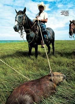 Журнал «Вокруг Света» №12 за 2005 год - TAG_img_cmn_2006_11_29_016_jpg658042