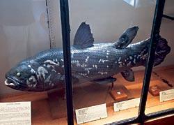 Журнал «Вокруг Света» №12 за 2006 год - TAG_img_cmn_2007_03_06_018_jpg770995