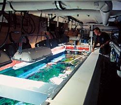 Журнал «Вокруг Света» №12 за 2006 год - TAG_img_cmn_2007_03_06_027_jpg188101