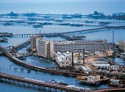 Журнал «Вокруг Света» №12 за 2006 год - TAG_img_cmn_2007_03_06_038_jpg997347