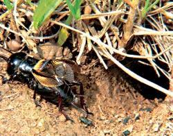 Журнал «Вокруг Света» №12 за 2007 год - TAG_img_cmn_2007_12_14_011_jpg383132