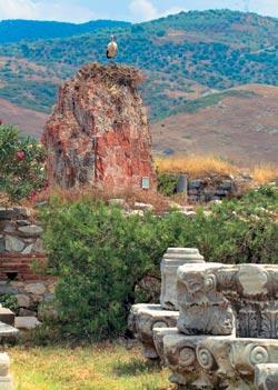 Журнал «Вокруг Света» №12 за 2007 год - TAGhttp___www_vokrugsveta_ru_img_cmn_2007_12_07_008_jpg359039