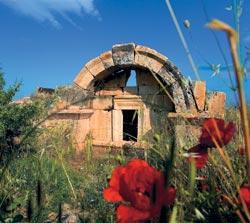 Журнал «Вокруг Света» №12 за 2007 год - TAGhttp___www_vokrugsveta_ru_img_cmn_2007_12_07_019_jpg156666