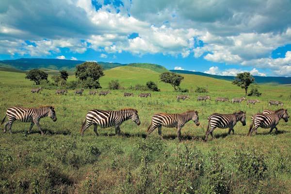 Журнал «Вокруг Света» №12 за 2008 год - TAG_img_cmn_2008_11_24_010_jpg303182
